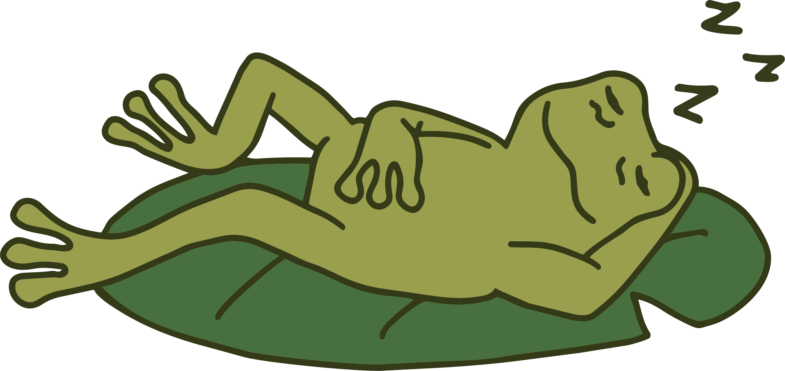 sleeping frog illustration
