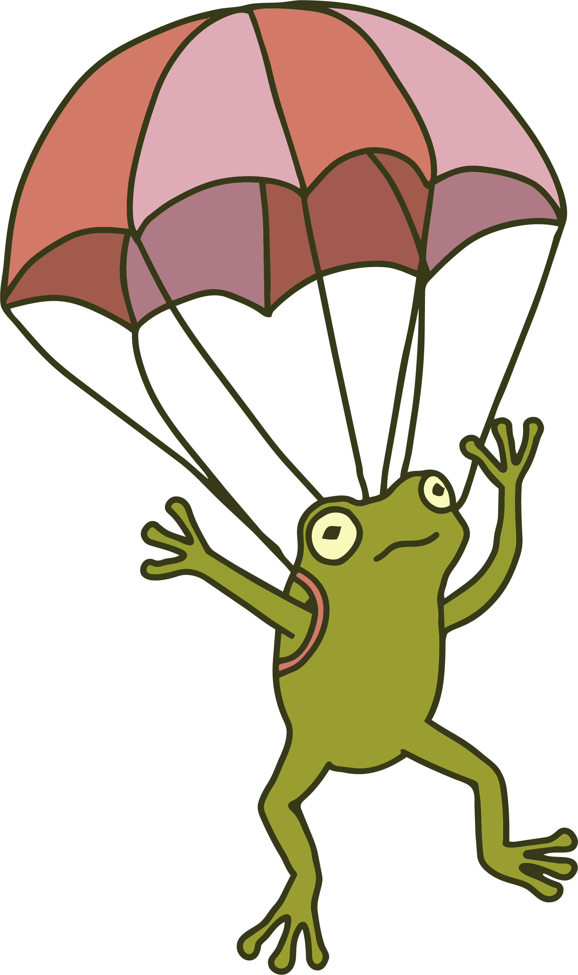 Parachuting frog